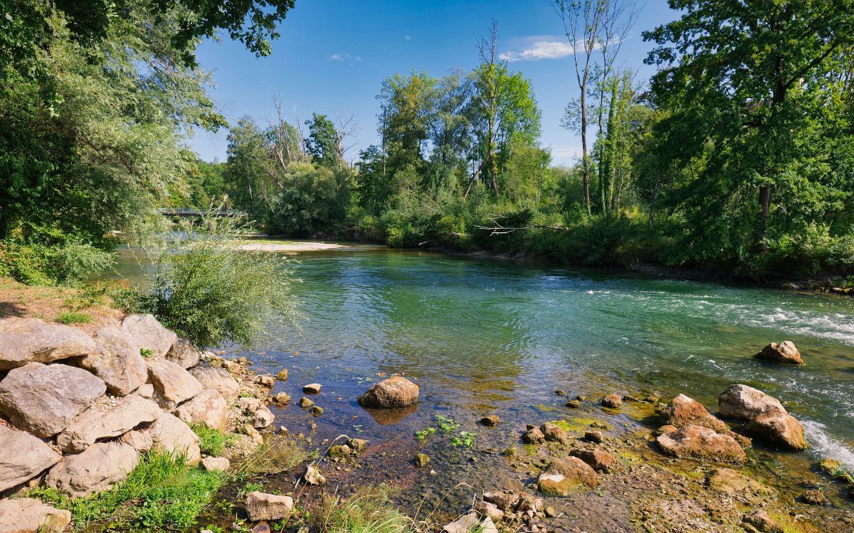 Internationaler Tag der Flüsse (World Rivers Day) - STIFTUNG WASSER